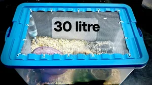 Hamster Setup