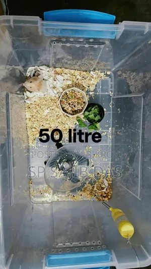Hamster Setup