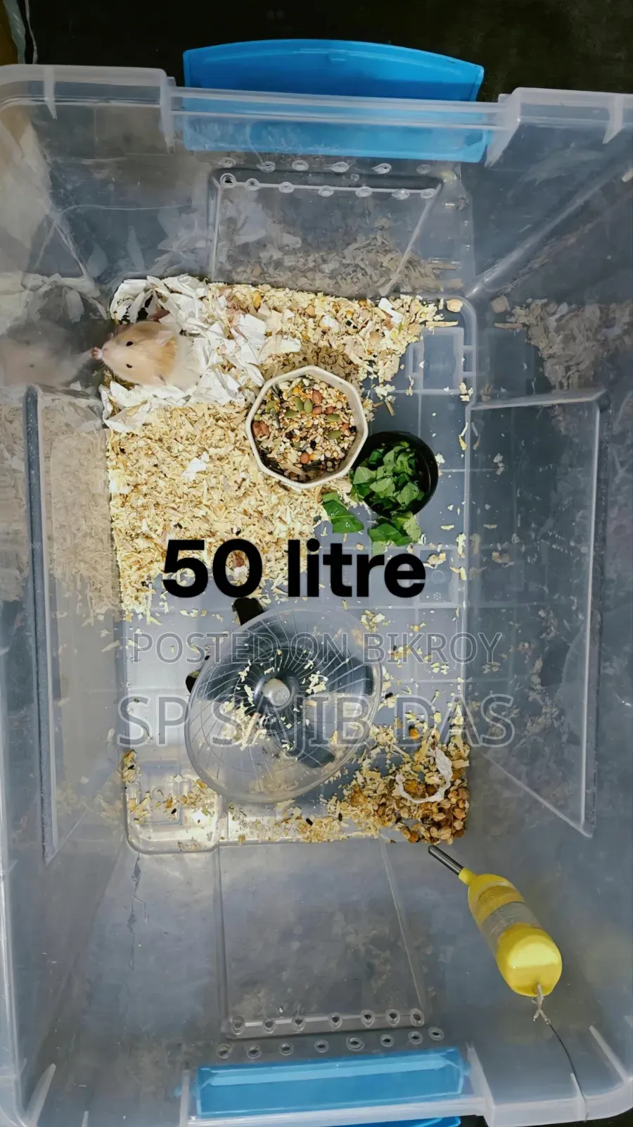 Hamster Setup