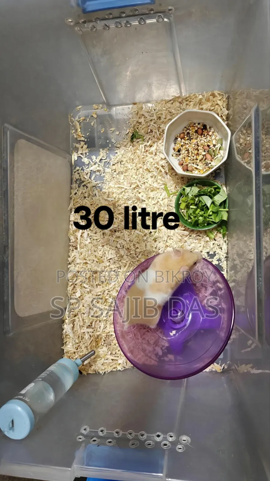 Hamster Setup
