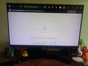 Lg Monitor 21"