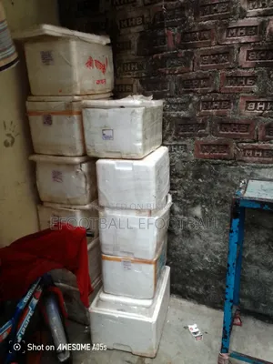 কক্সশিট বক্স