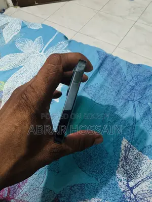 অ্যাপল আইফোন ১২ প্রো ম্যাক্স ২৫৬ জিবি ব্লু