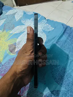 অ্যাপল আইফোন ১২ প্রো ম্যাক্স ২৫৬ জিবি ব্লু