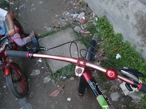 Cycle Used