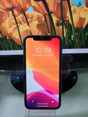Apple iPhone 11 Pro Max 256 GB Black