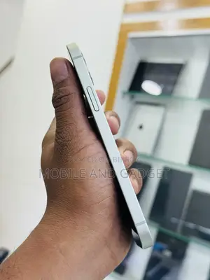 অ্যাপল আইফোন ১২ ১২৮ জিবি গ্রে
