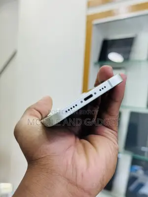 অ্যাপল আইফোন ১২ ১২৮ জিবি গ্রে