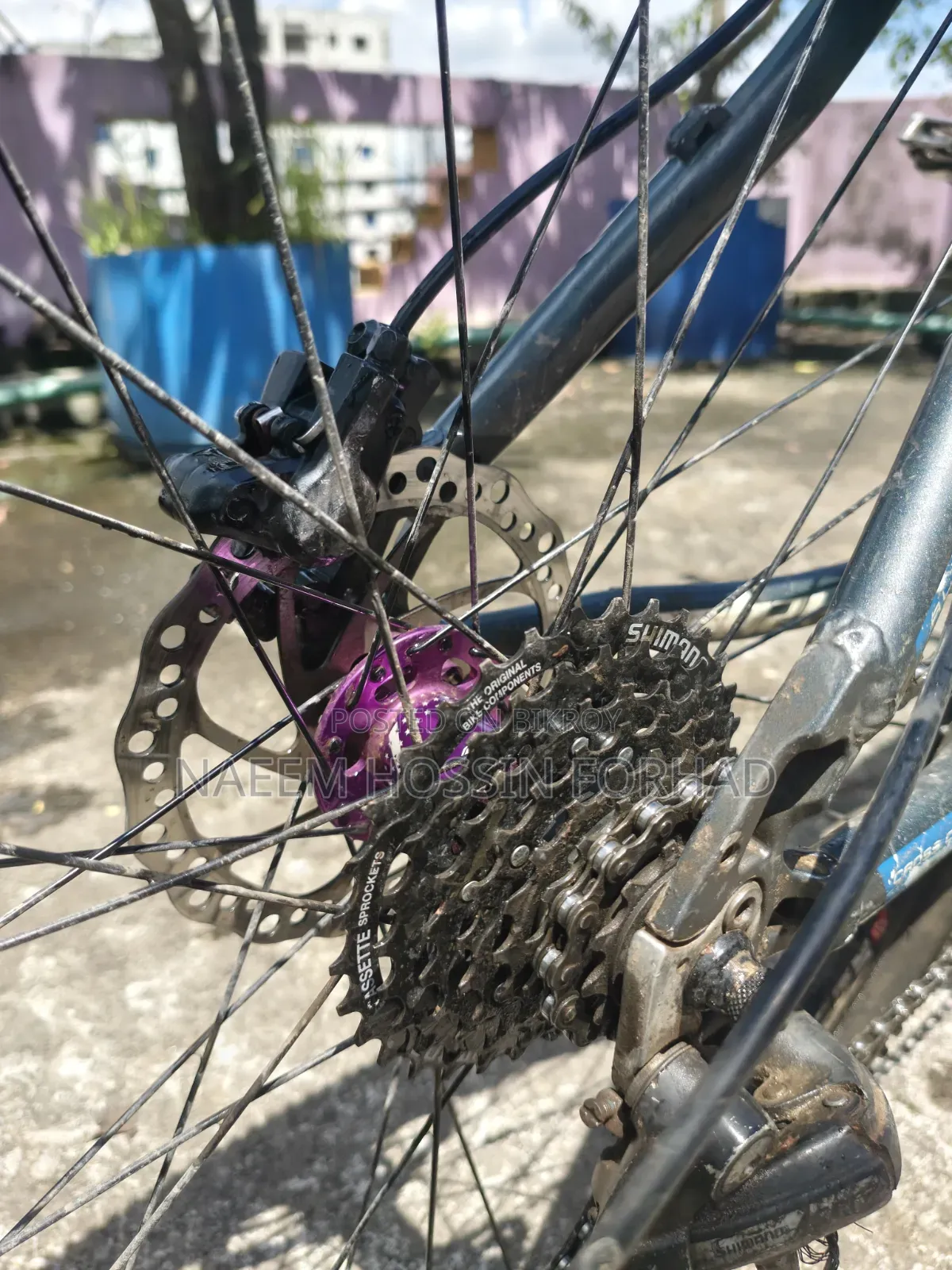 Cycle for sale