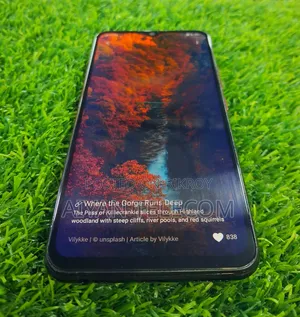 Vivo Y11 32 GB Red
