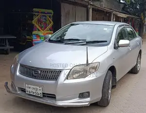 Toyota Axio 2011 Silver