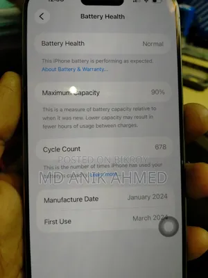 Apple iPhone 15 Pro Max 256 GB Gray