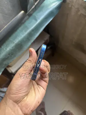 অ্যাপল আইফোন ১২ ১২৮ জিবি নীল