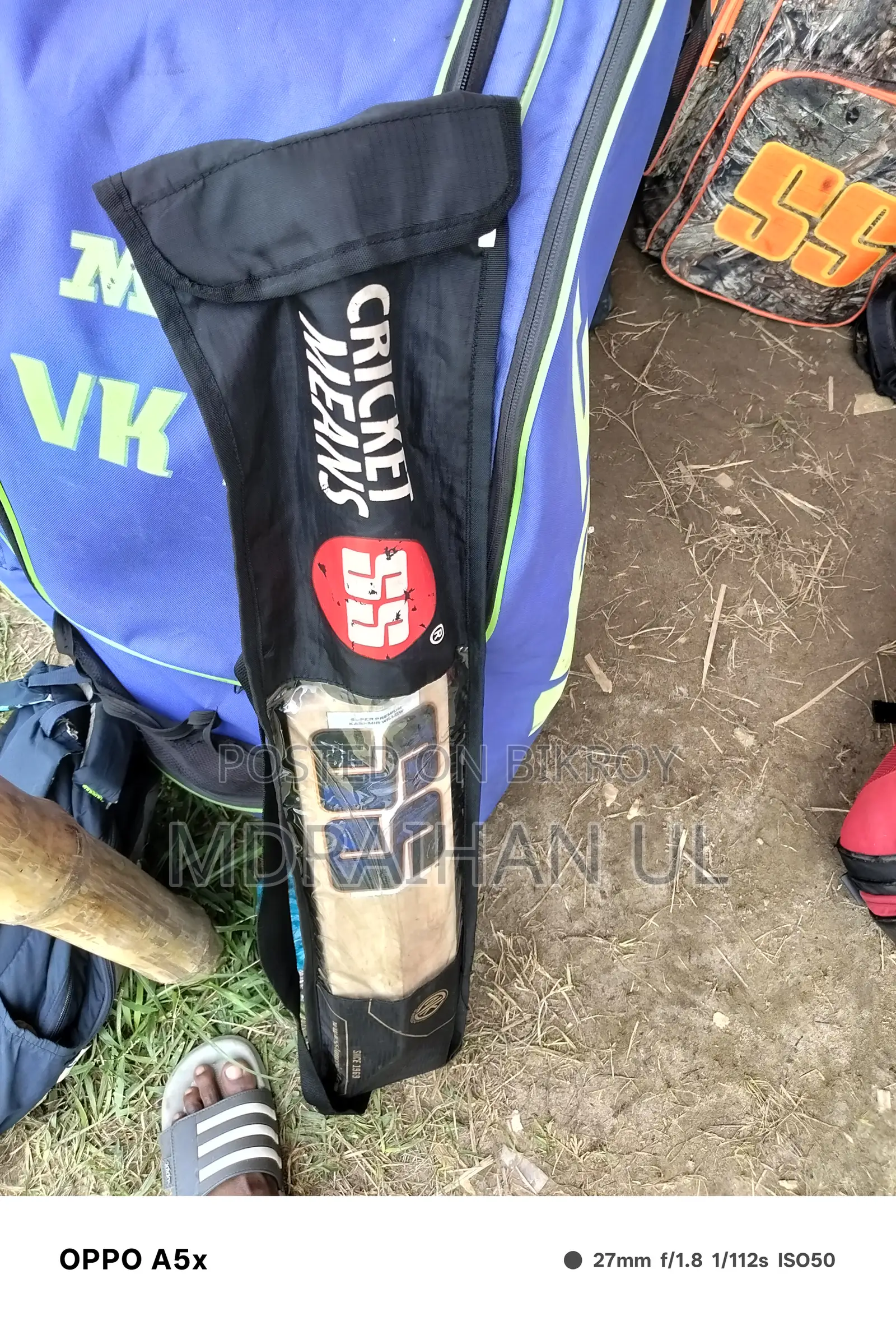 Kashmir Willow Bat