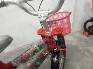 12 Size Red Cycle Perfect for 2–5 Years Baby