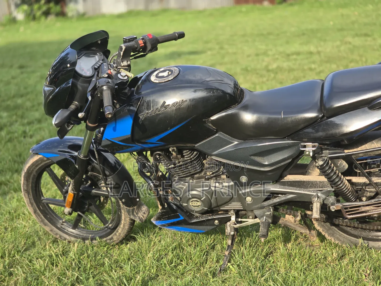 Bajaj Pulsar 150 2020 Blue