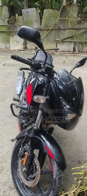 Bajaj Pulsar 150 2024 Black