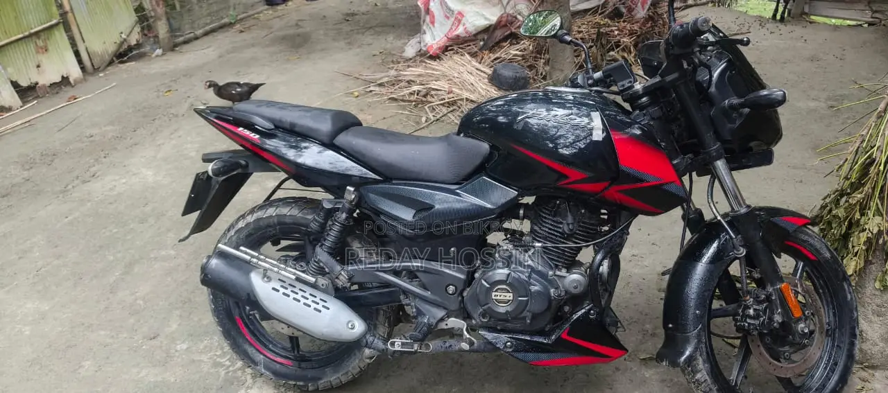 Bajaj Pulsar 150 2024 Black