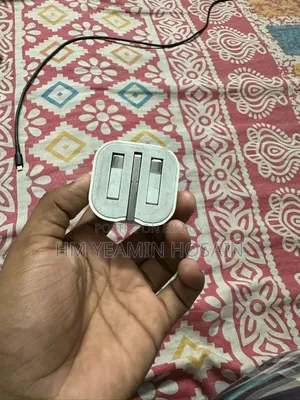 Apple Orginnal 20w Crager