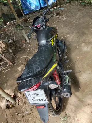 New Honda 2024 Gray