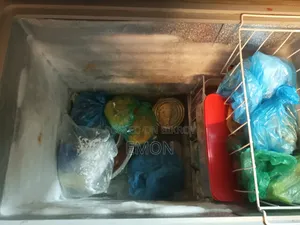 Rangs Deep Freeze