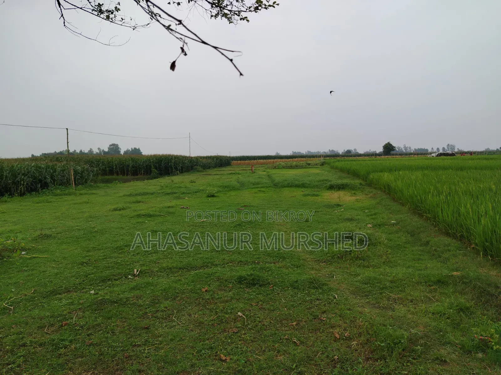 জমি বিক্রয় আকুয় মড়লপাড়ায়