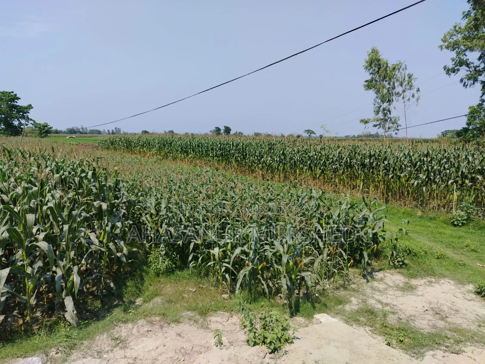 জমি বিক্রয় আকুয় মড়লপাড়ায়