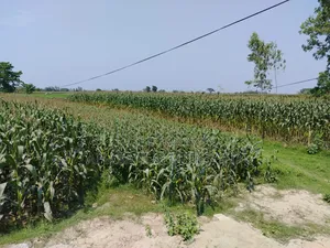 জমি বিক্রয় আকুয় মড়লপাড়ায়