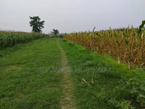 জমি বিক্রয় আকুয় মড়লপাড়ায়