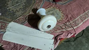 বালাকা সেলিং ফ্যান