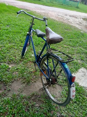 Urgent bicycle for sale