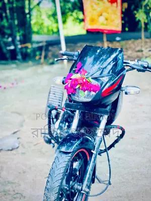 Bajaj Pulsar 150 2009 Black