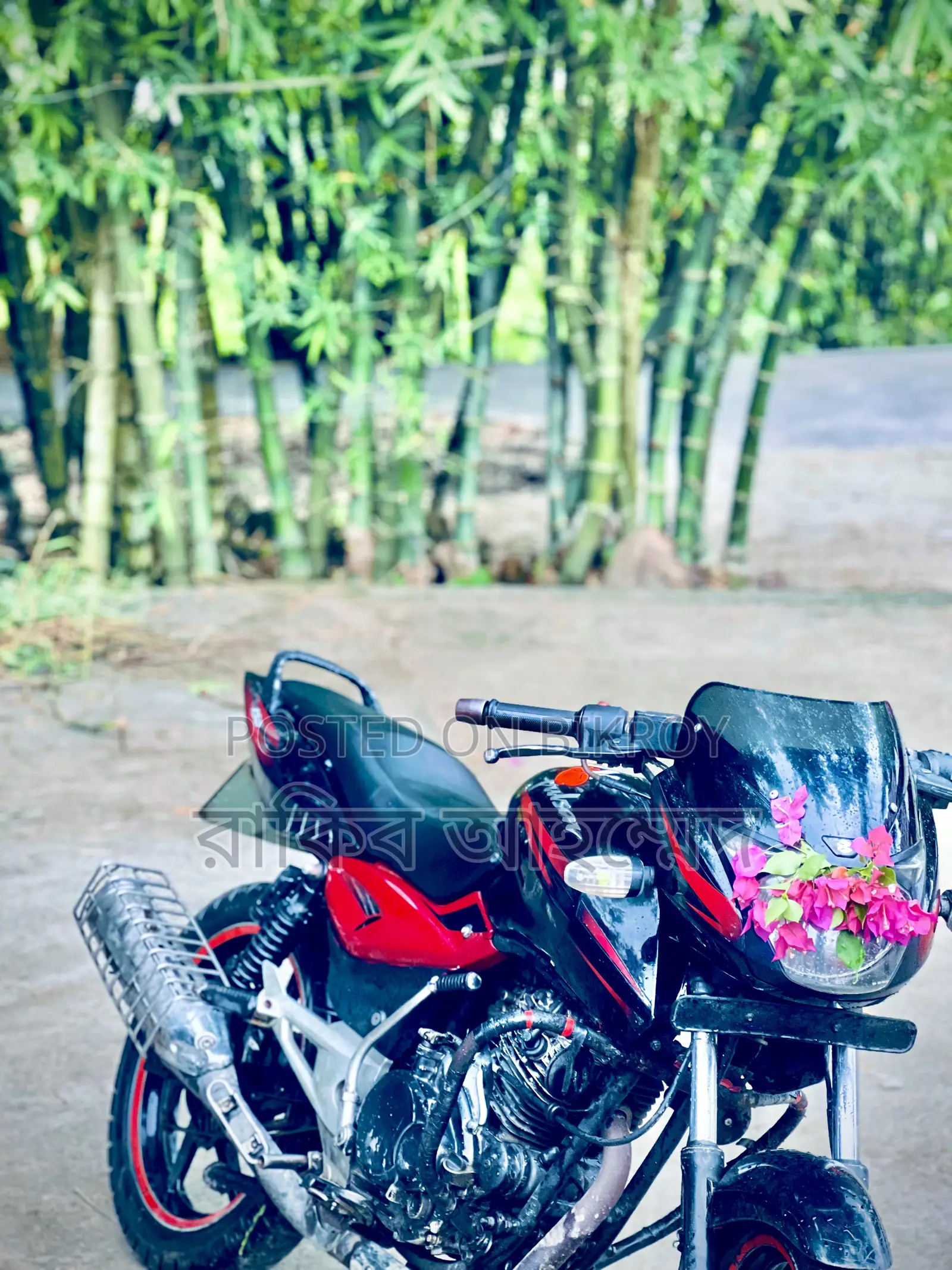 Bajaj Pulsar 150 2009 Black