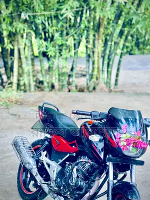 Bajaj Pulsar 150 2009 Black