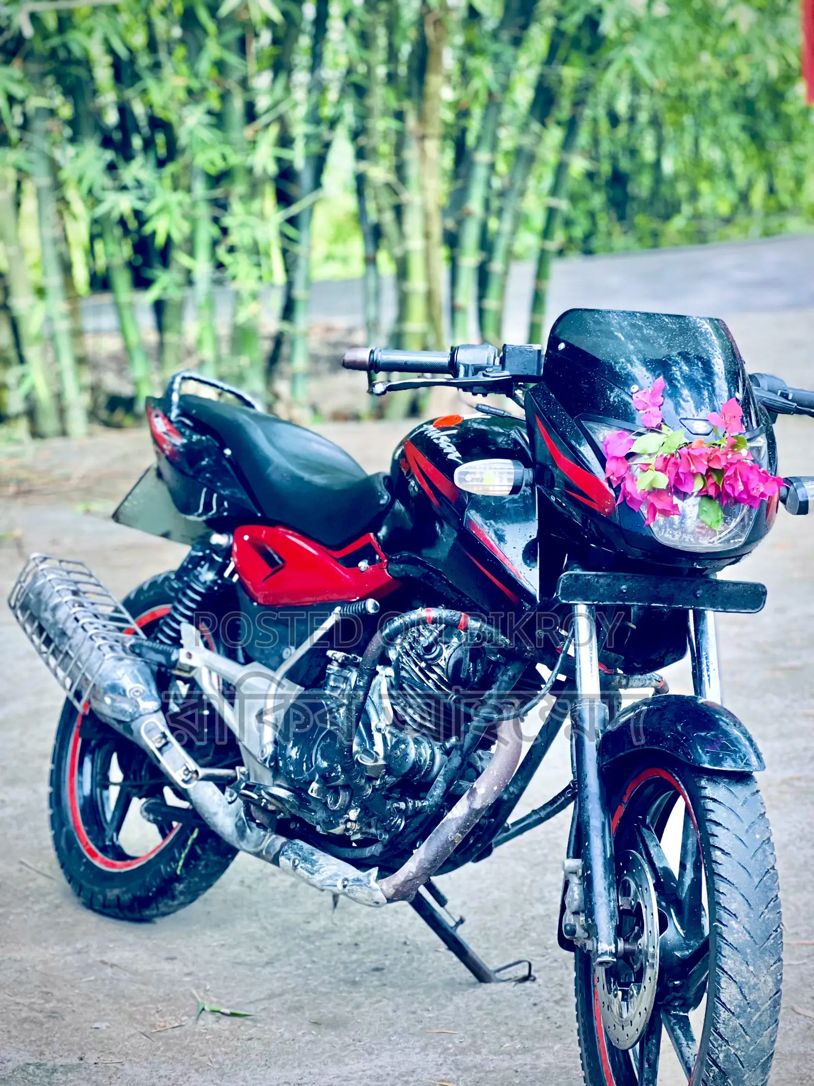 Bajaj Pulsar 150 2009 Black