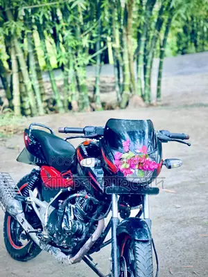Bajaj Pulsar 150 2009 Black