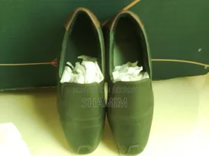 ইলিয়েন প্ল্যাটিনাম লোফার্স জুতো