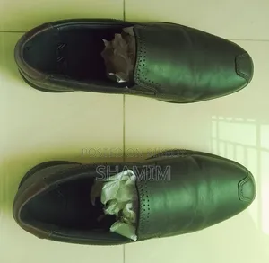 ইলিয়েন প্ল্যাটিনাম লোফার্স জুতো
