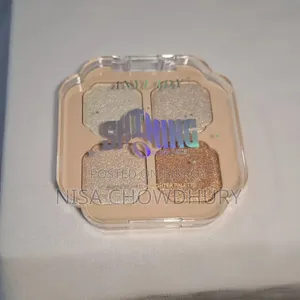 এনি লেডি শাইনিং হাইলাইটার প্যালেট