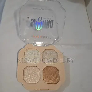 এনি লেডি শাইনিং হাইলাইটার প্যালেট