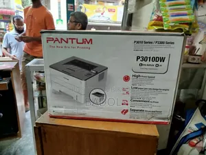 Pantum 3010