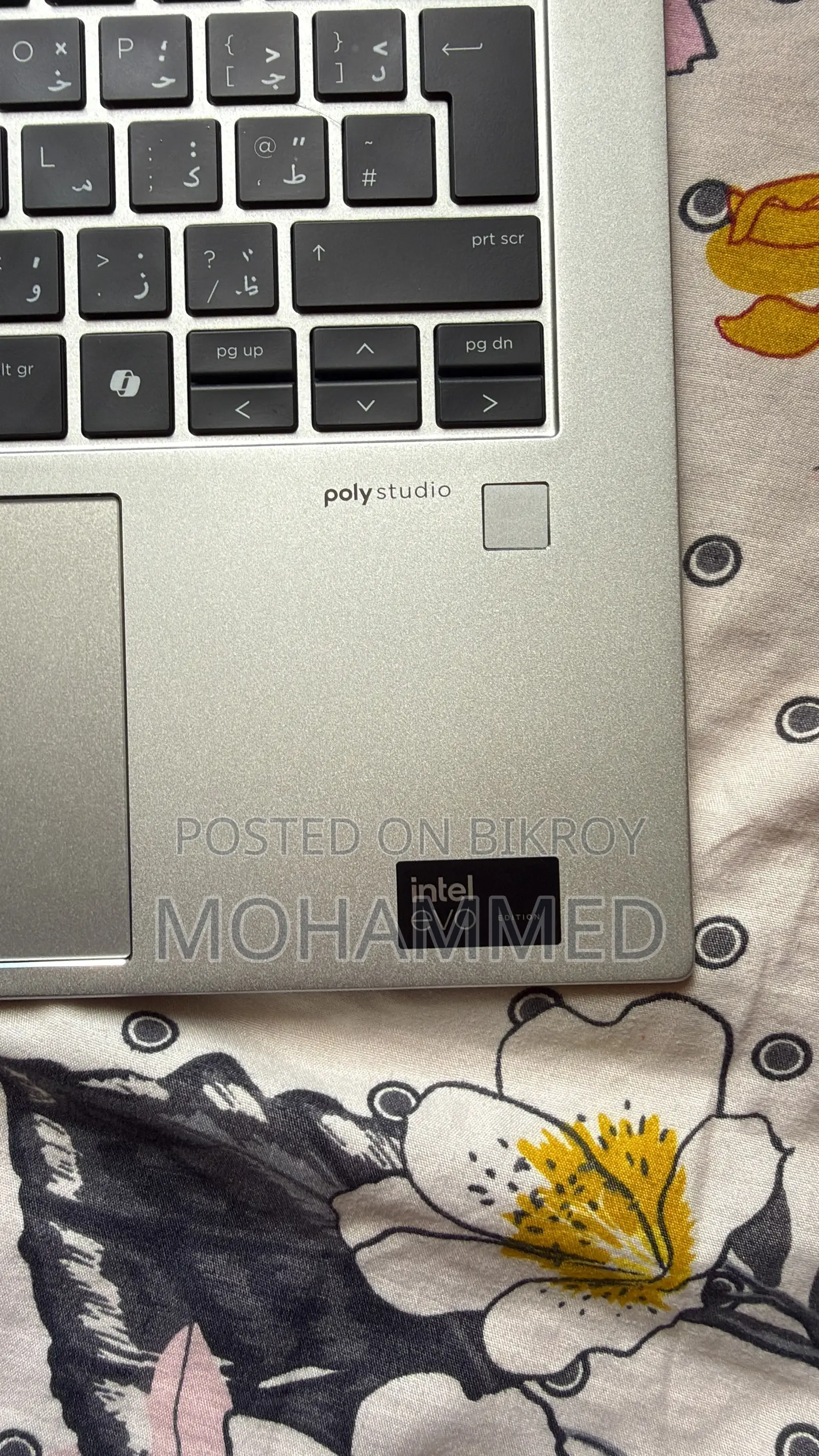 Laptop HP EliteBook 840 G11 16GB Intel Core Ultra 5 SSD 512GB