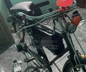 Classic Electric Cycle