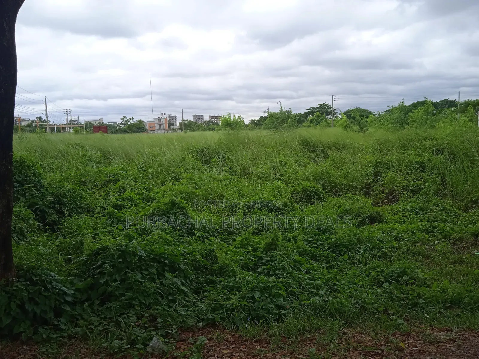 North-facing 4 Katha Prime Plot for Sale in Bashundhara Block P