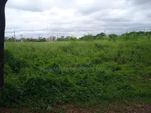 North-facing 4 Katha Prime Plot for Sale in Bashundhara Block P