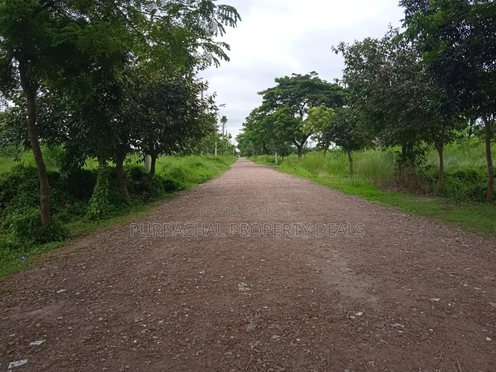 North-facing 4 Katha Prime Plot for Sale in Bashundhara Block P