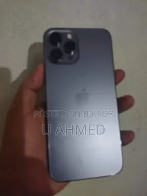 Apple iPhone 12 Pro Max 512 GB Silver