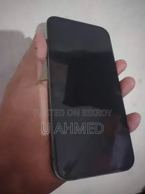 Apple iPhone 12 Pro Max 512 GB Silver