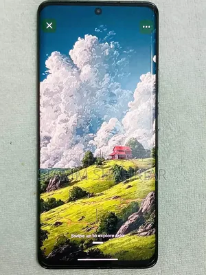 Xiaomi 13 Pro 256 GB Black