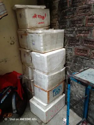 Styrofoam Box